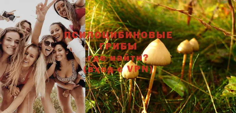 Псилоцибиновые грибы Magic Shrooms  магазин продажи наркотиков  omg tor  Когалым 